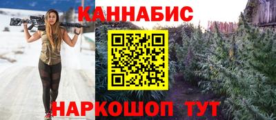 сатива Обь