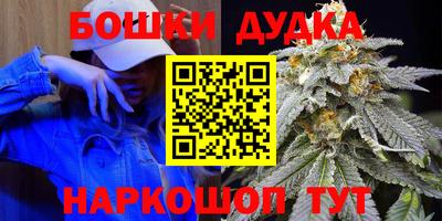 сатива Обь