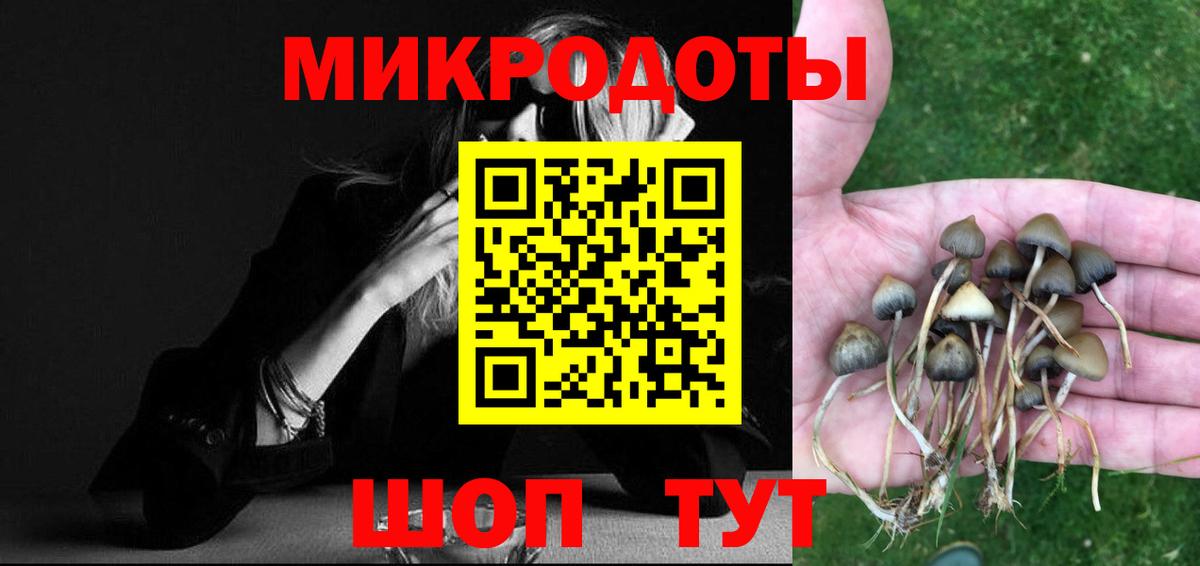 Тихорецк  Галлюциногенные грибы мухоморы  Псилоцибиновые грибы Cubensis  Вход с VPN 